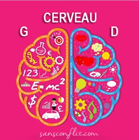 cerveauGD-1s